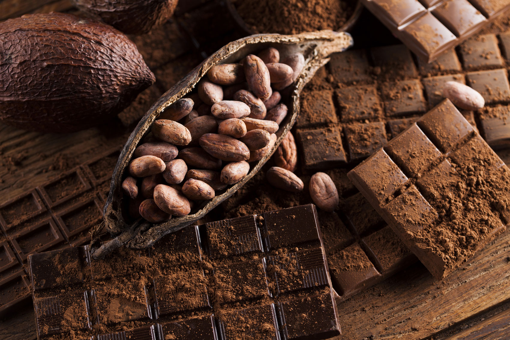 tous les chocolat AdobeStock web139270068 d38f4