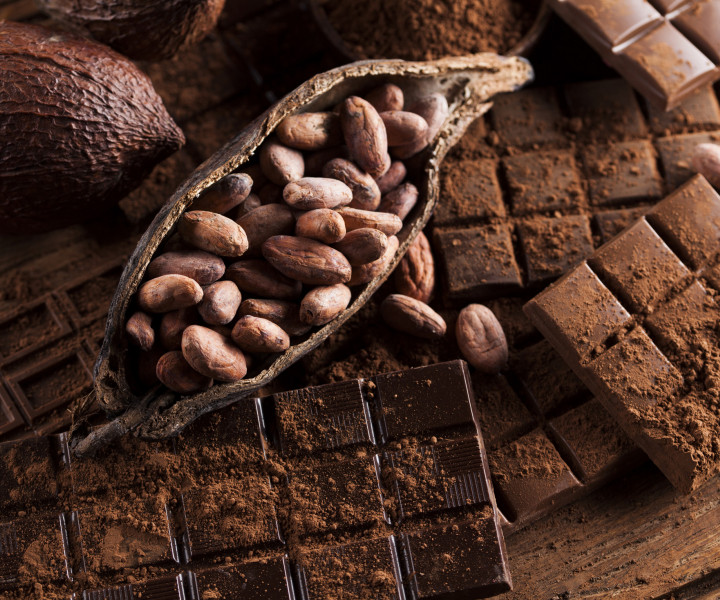Cacao, Atelier de cuisine sans gluten
